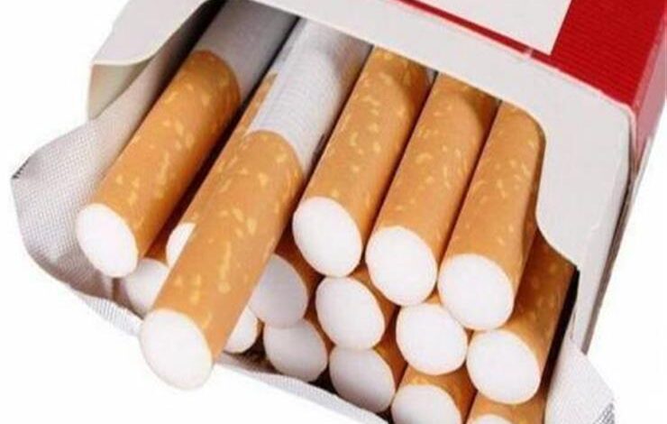 إنتاج التبغ